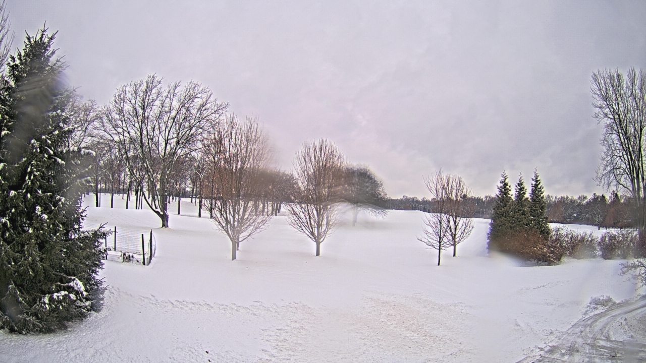 Thumbnail for current weather camera view from Franklin Hills Country Club in Farmington Hills, Michigan