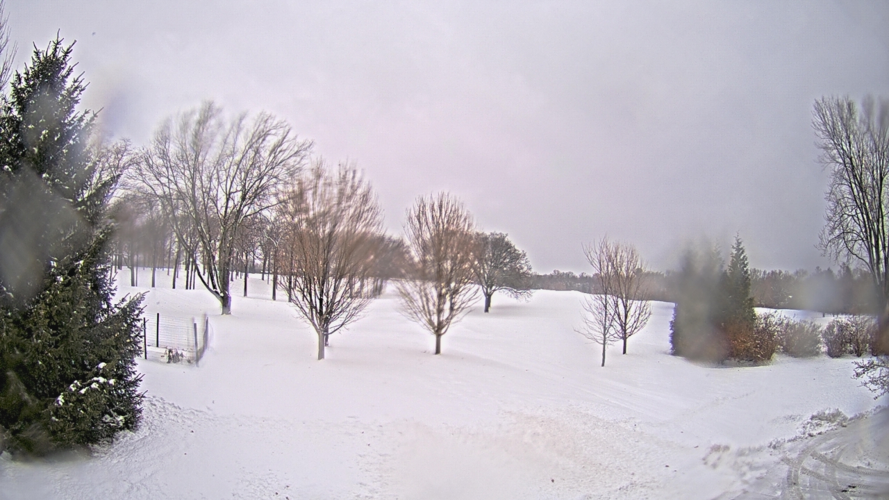 Thumbnail for current weather camera view from Franklin Hills Country Club in Farmington Hills, Michigan
