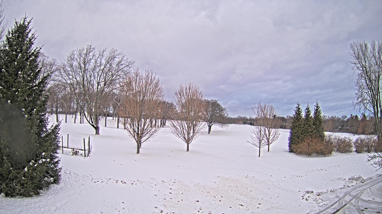 Thumbnail for current weather camera view from Franklin Hills Country Club in Farmington Hills, Michigan