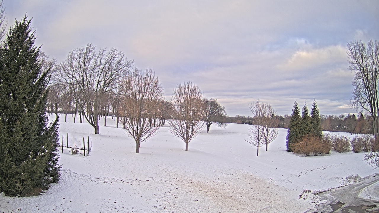 Thumbnail for current weather camera view from Franklin Hills Country Club in Farmington Hills, Michigan