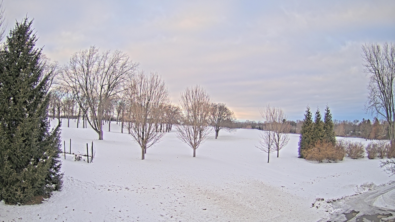 Thumbnail for current weather camera view from Franklin Hills Country Club in Farmington Hills, Michigan