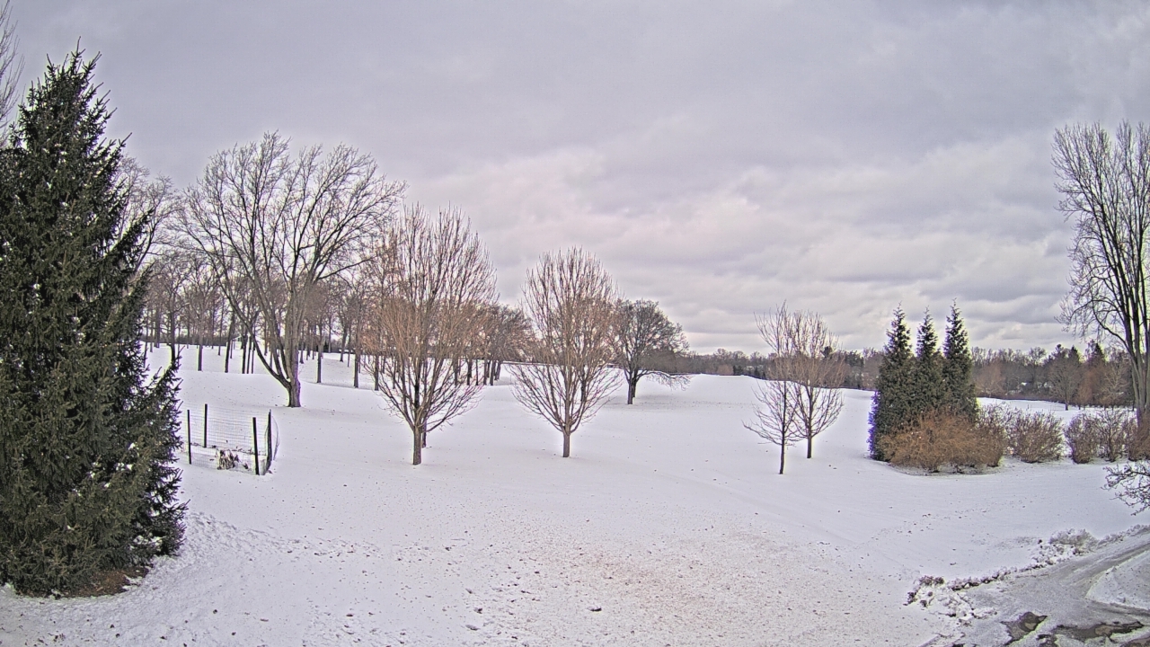 Thumbnail for current weather camera view from Franklin Hills Country Club in Farmington Hills, Michigan