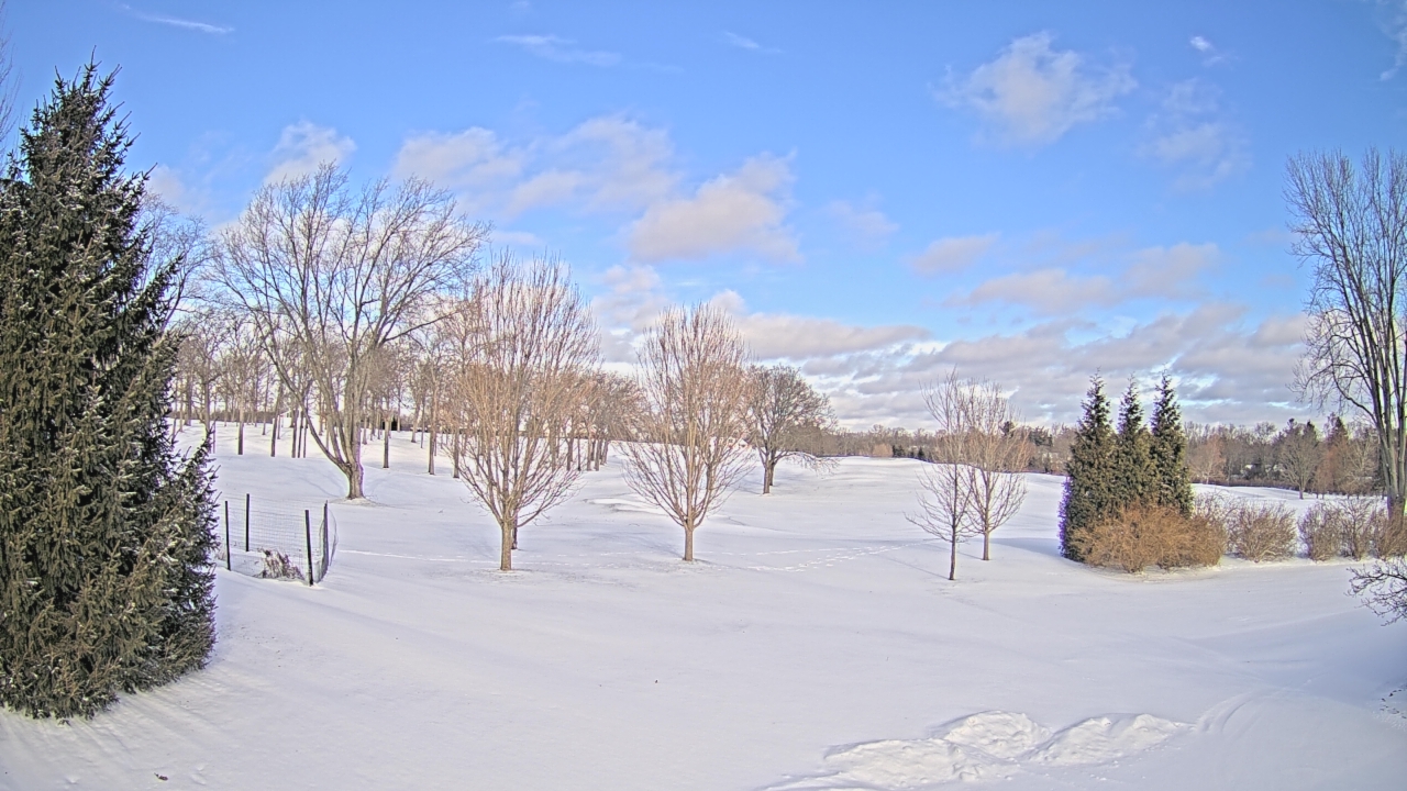 Thumbnail for current weather camera view from Franklin Hills Country Club in Farmington Hills, Michigan