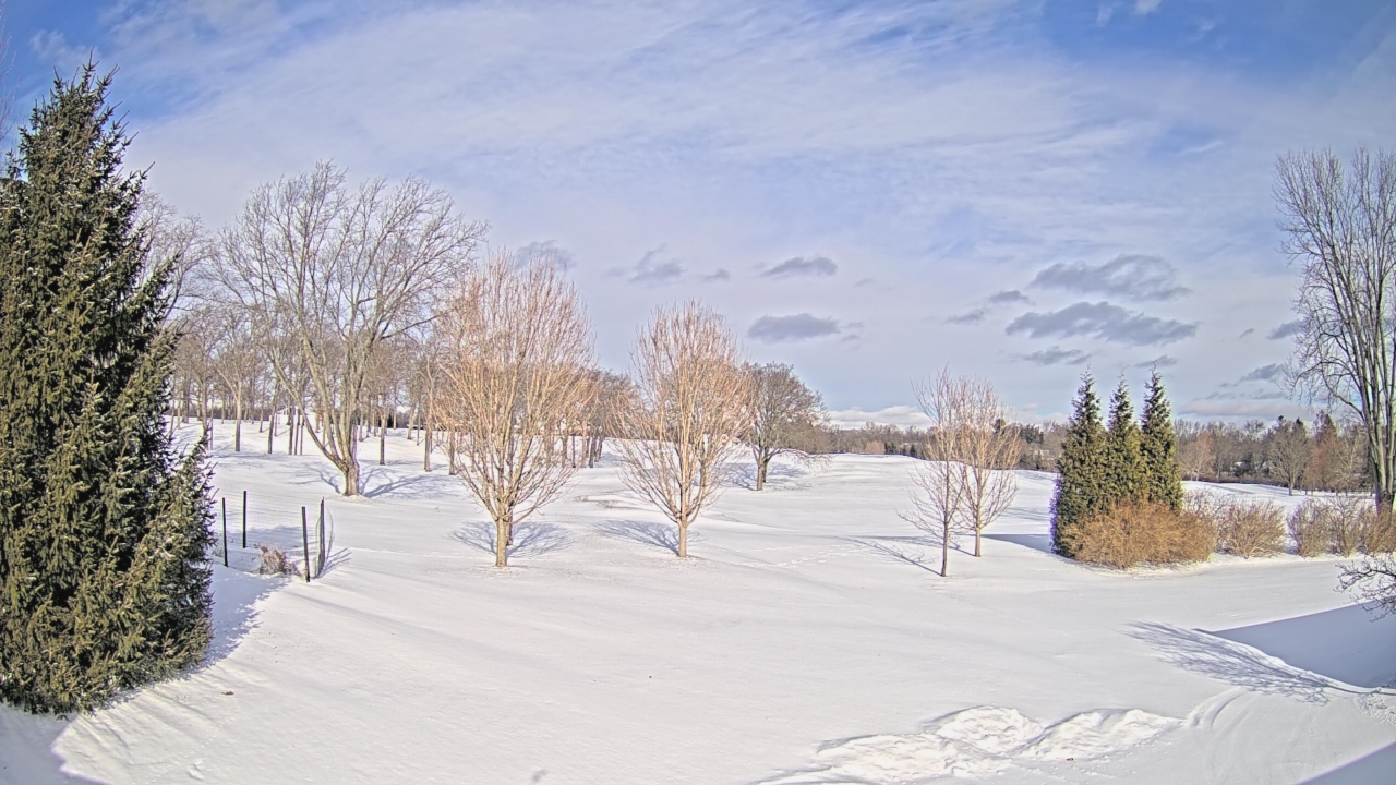 Thumbnail for current weather camera view from Franklin Hills Country Club in Farmington Hills, Michigan