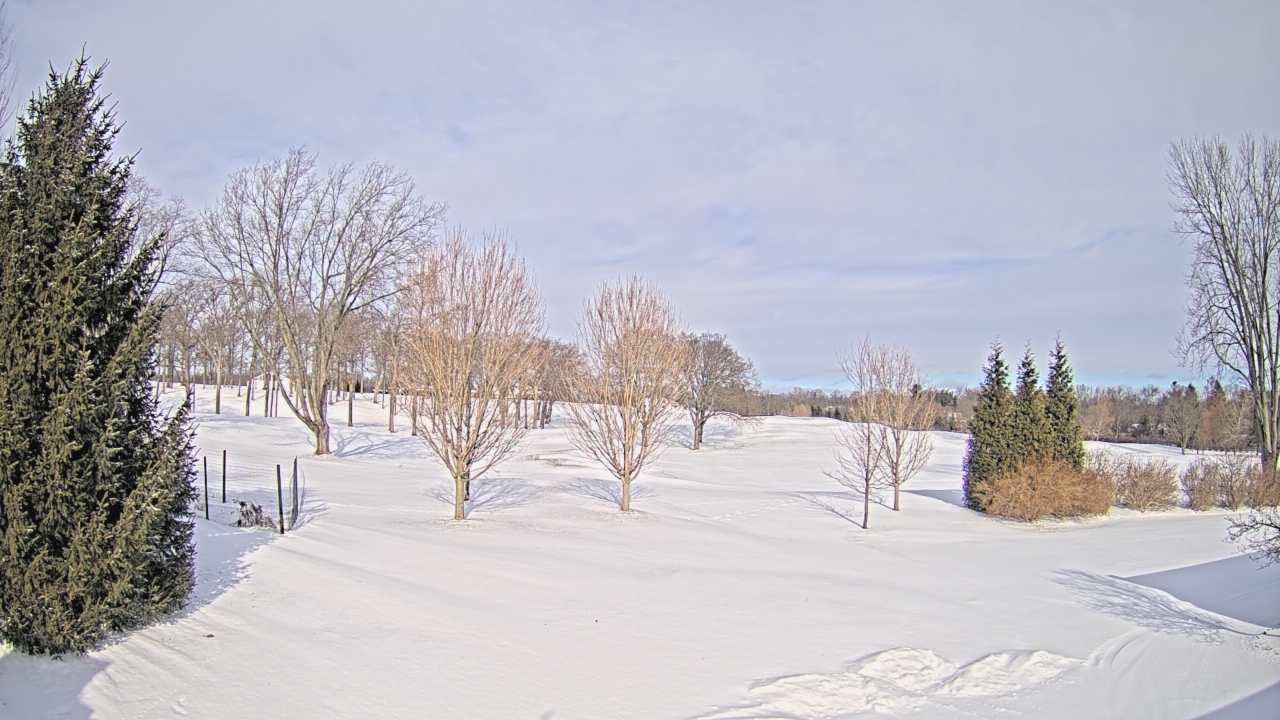 Thumbnail for current weather camera view from Franklin Hills Country Club in Farmington Hills, Michigan