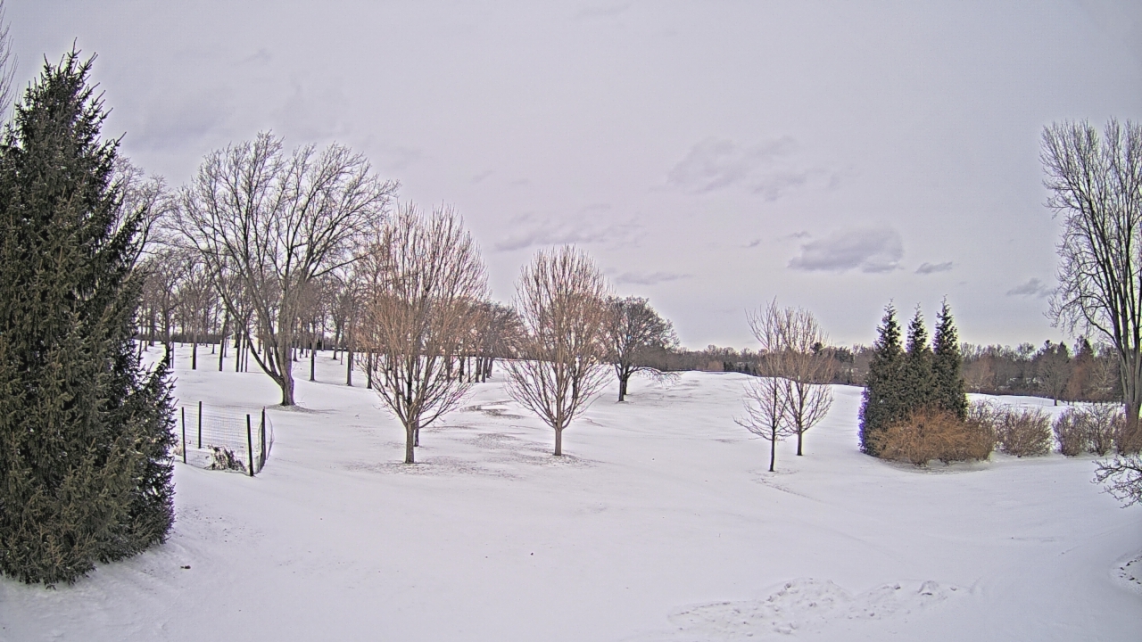 Thumbnail for current weather camera view from Franklin Hills Country Club in Farmington Hills, Michigan