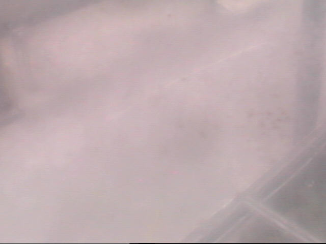 Thumbnail for current weather camera view from School Board Safety Dept. in Oakland Park, Florida