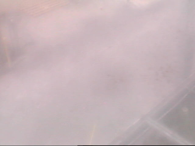 Thumbnail for current weather camera view from School Board Safety Dept. in Oakland Park, Florida