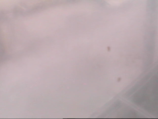Thumbnail for current weather camera view from School Board Safety Dept. in Oakland Park, Florida
