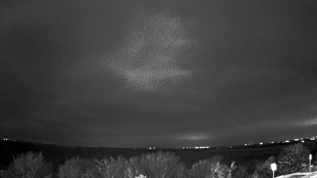 Thumbnail for current weather camera view from Southwest Christian School in Fort Worth, Texas