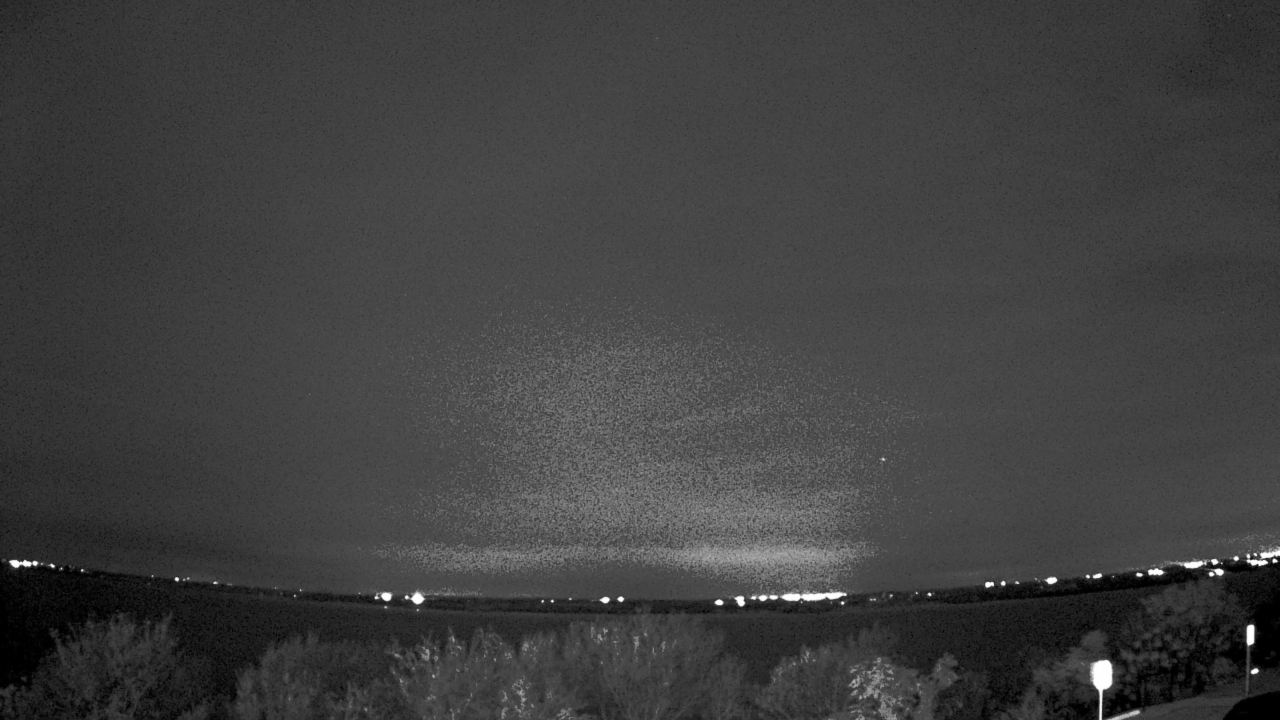 Thumbnail for current weather camera view from Southwest Christian School in Fort Worth, Texas