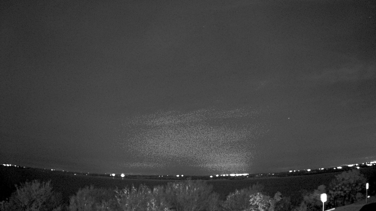 Thumbnail for current weather camera view from Southwest Christian School in Fort Worth, Texas