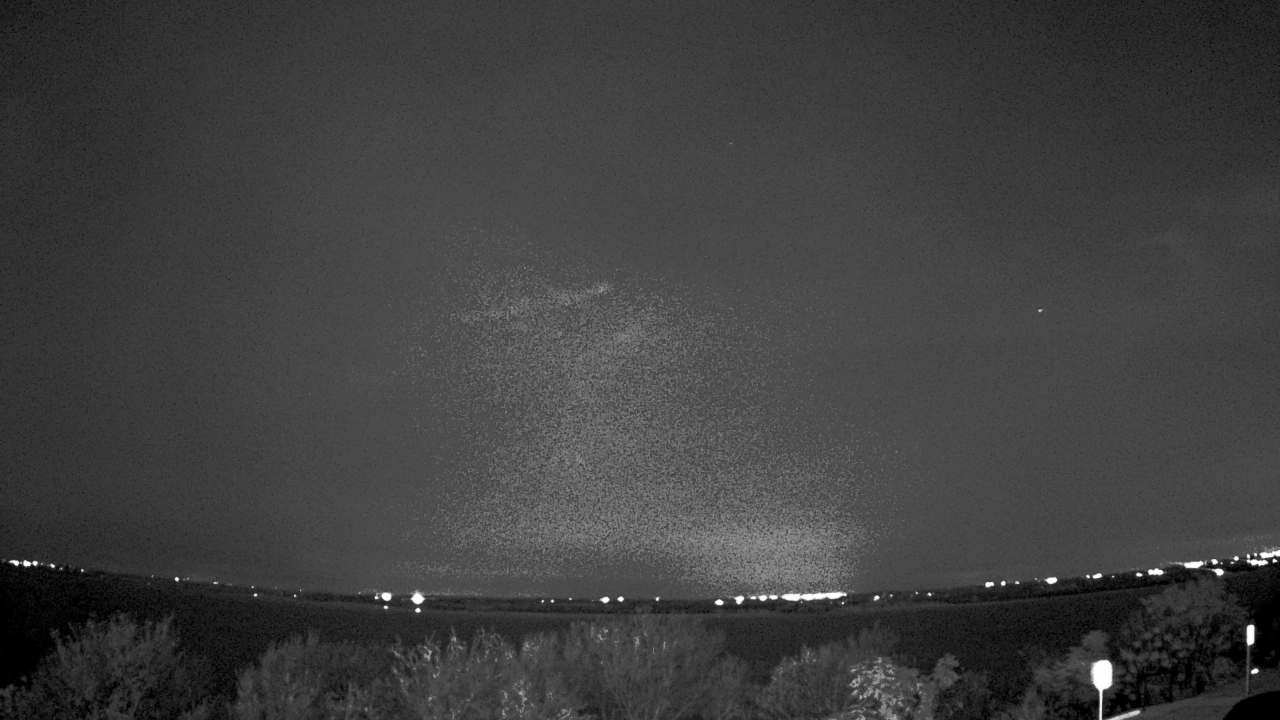 Thumbnail for current weather camera view from Southwest Christian School in Fort Worth, Texas