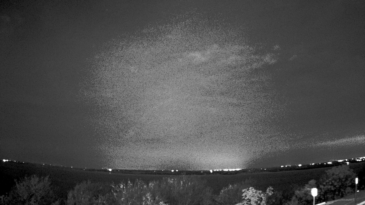 Thumbnail for current weather camera view from Southwest Christian School in Fort Worth, Texas