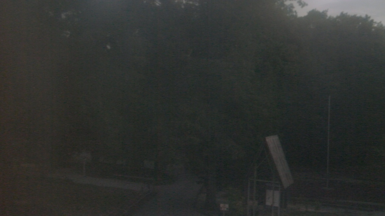 Thumbnail for current weather camera view from Camp Marymount in Fairview, Tennessee