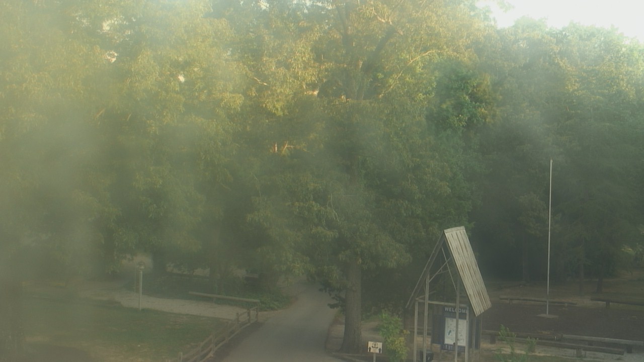 Thumbnail for current weather camera view from Camp Marymount in Fairview, Tennessee