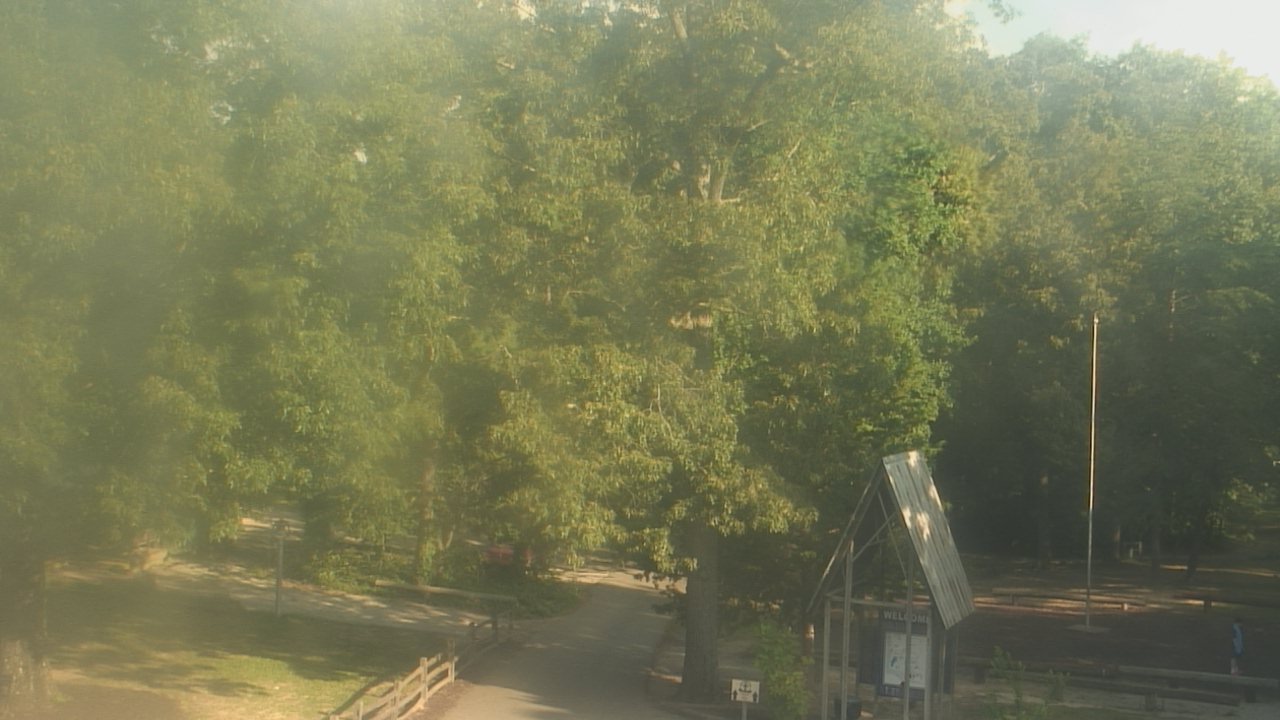 Thumbnail for current weather camera view from Camp Marymount in Fairview, Tennessee