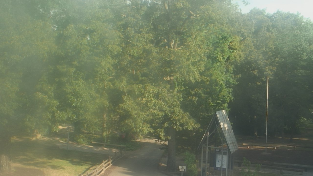 Thumbnail for current weather camera view from Camp Marymount in Fairview, Tennessee