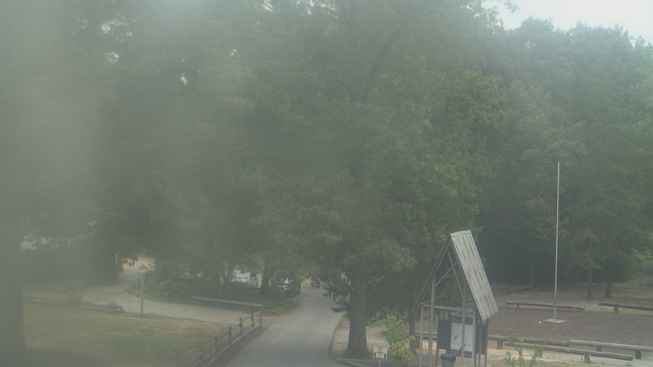 Thumbnail for current weather camera view from Camp Marymount in Fairview, Tennessee