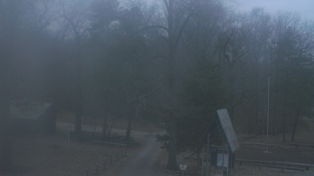 Thumbnail for current weather camera view from Camp Marymount in Fairview, Tennessee