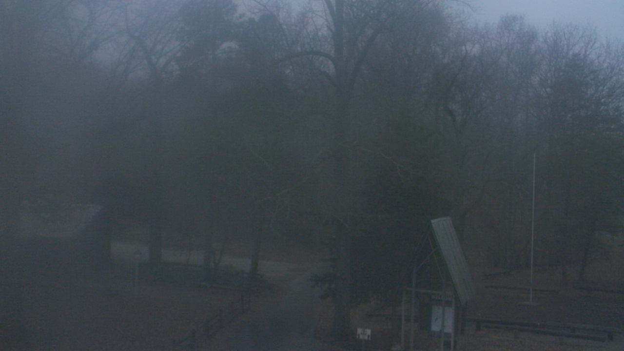 Thumbnail for current weather camera view from Camp Marymount in Fairview, Tennessee