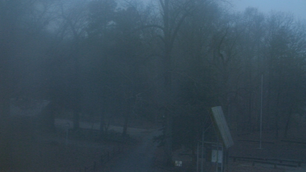 Thumbnail for current weather camera view from Camp Marymount in Fairview, Tennessee