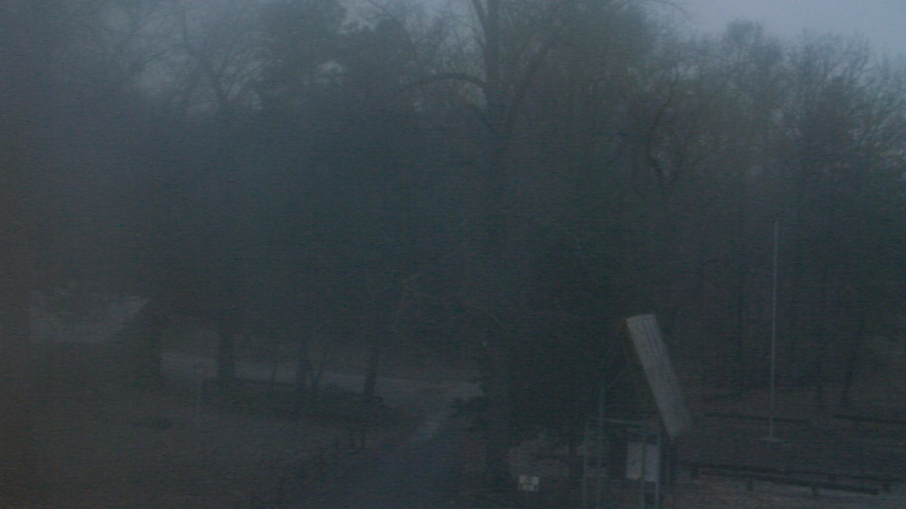Thumbnail for current weather camera view from Camp Marymount in Fairview, Tennessee