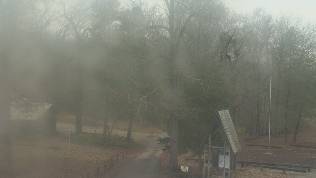 Thumbnail for current weather camera view from Camp Marymount in Fairview, Tennessee