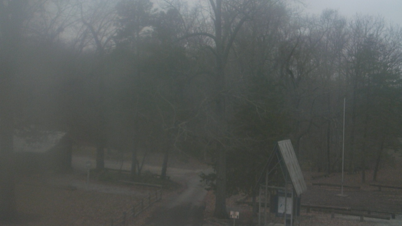 Thumbnail for current weather camera view from Camp Marymount in Fairview, Tennessee