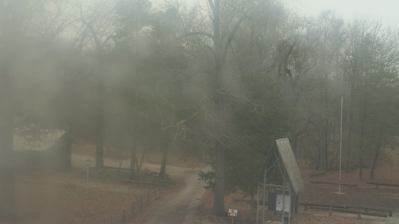 Thumbnail for current weather camera view from Camp Marymount in Fairview, Tennessee