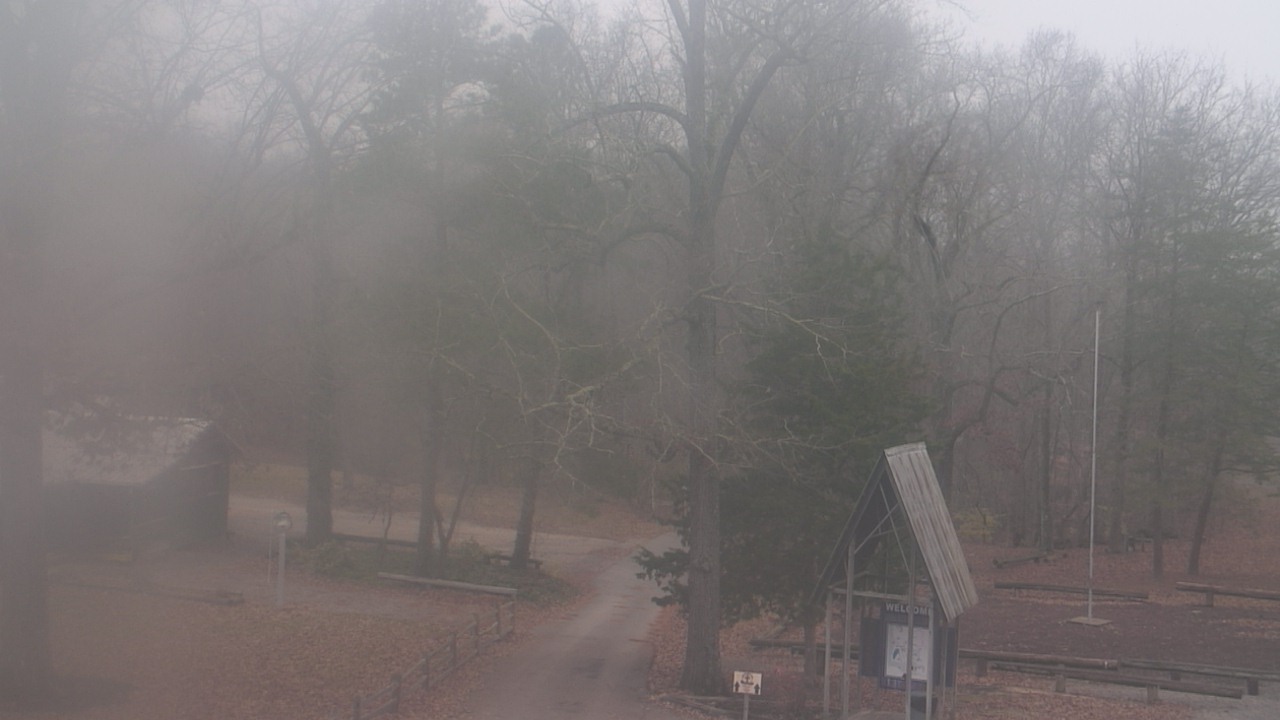 Thumbnail for current weather camera view from Camp Marymount in Fairview, Tennessee
