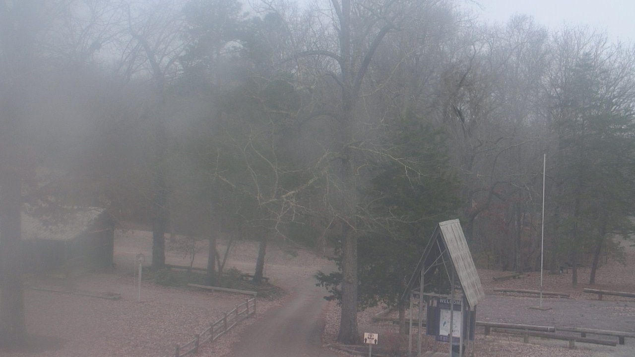 Thumbnail for current weather camera view from Camp Marymount in Fairview, Tennessee