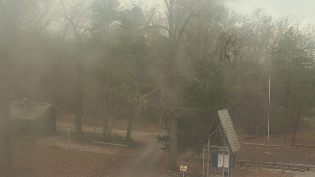 Thumbnail for current weather camera view from Camp Marymount in Fairview, Tennessee