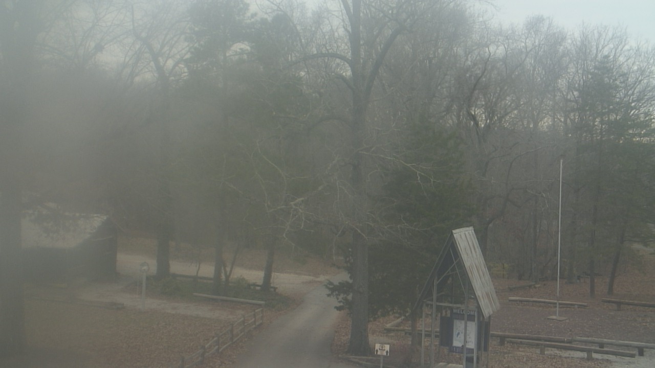 Thumbnail for current weather camera view from Camp Marymount in Fairview, Tennessee