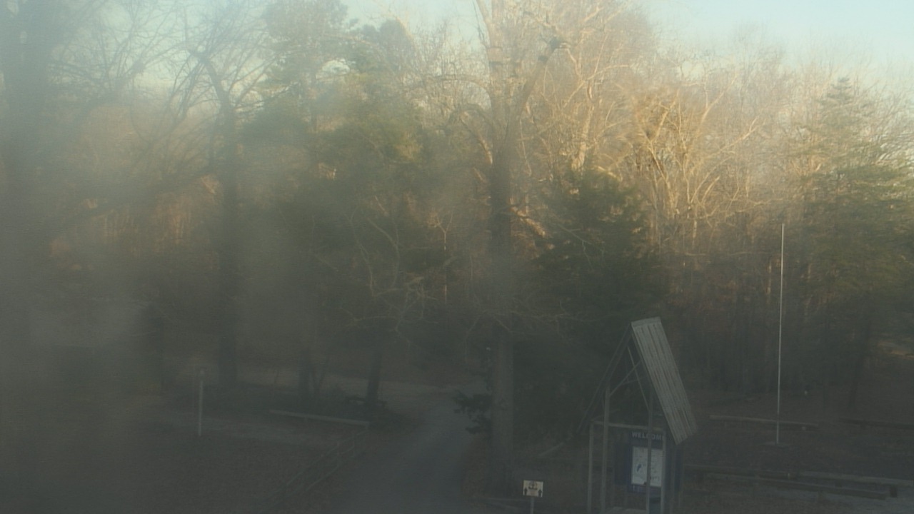 Thumbnail for current weather camera view from Camp Marymount in Fairview, Tennessee