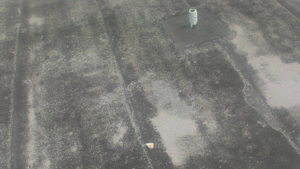 Thumbnail for current weather camera view from Fox Trail ES in Davie, Florida