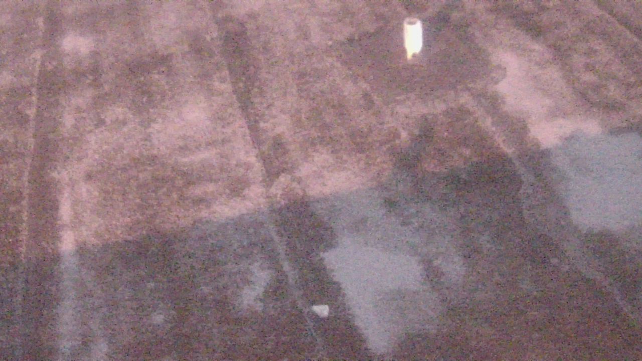 Thumbnail for current weather camera view from Fox Trail ES in Davie, Florida