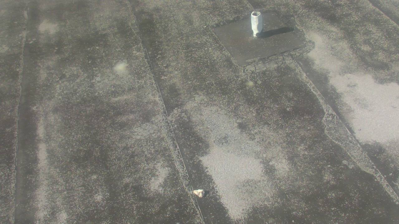 Thumbnail for current weather camera view from Fox Trail ES in Davie, Florida