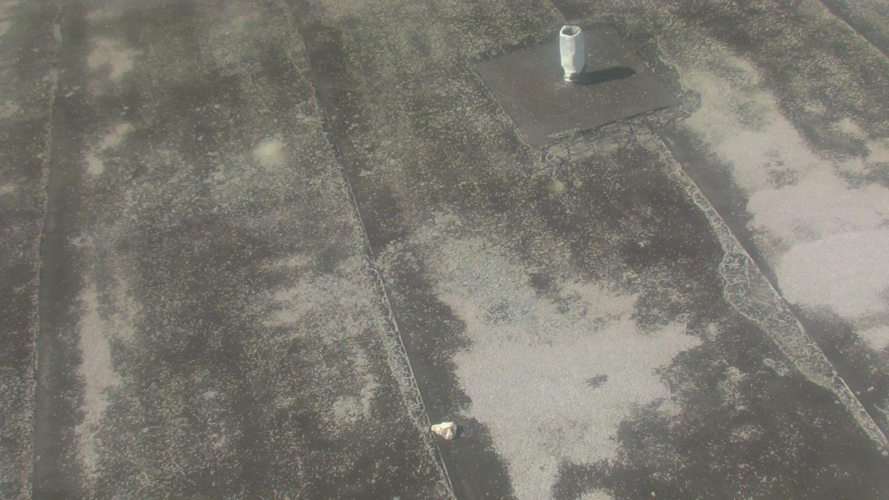 Thumbnail for current weather camera view from Fox Trail ES in Davie, Florida