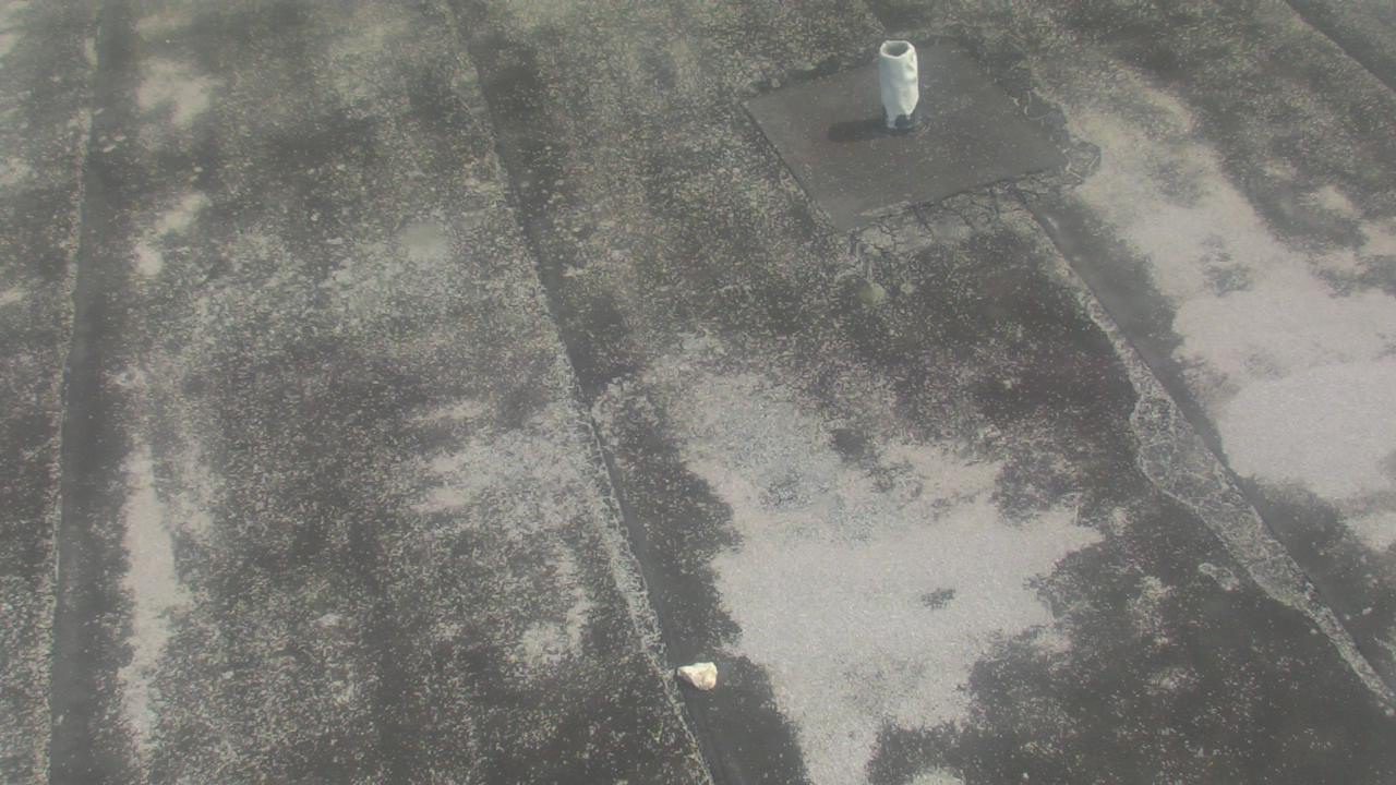 Thumbnail for current weather camera view from Fox Trail ES in Davie, Florida