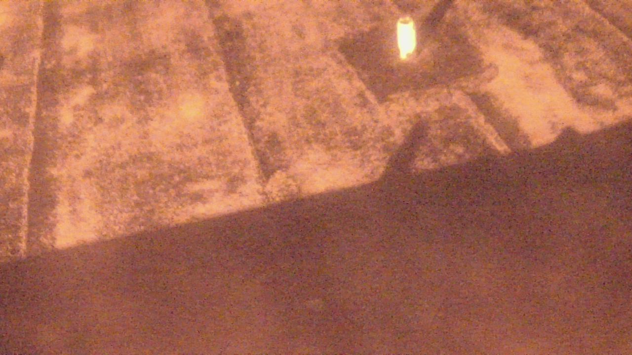 Thumbnail for current weather camera view from Fox Trail ES in Davie, Florida
