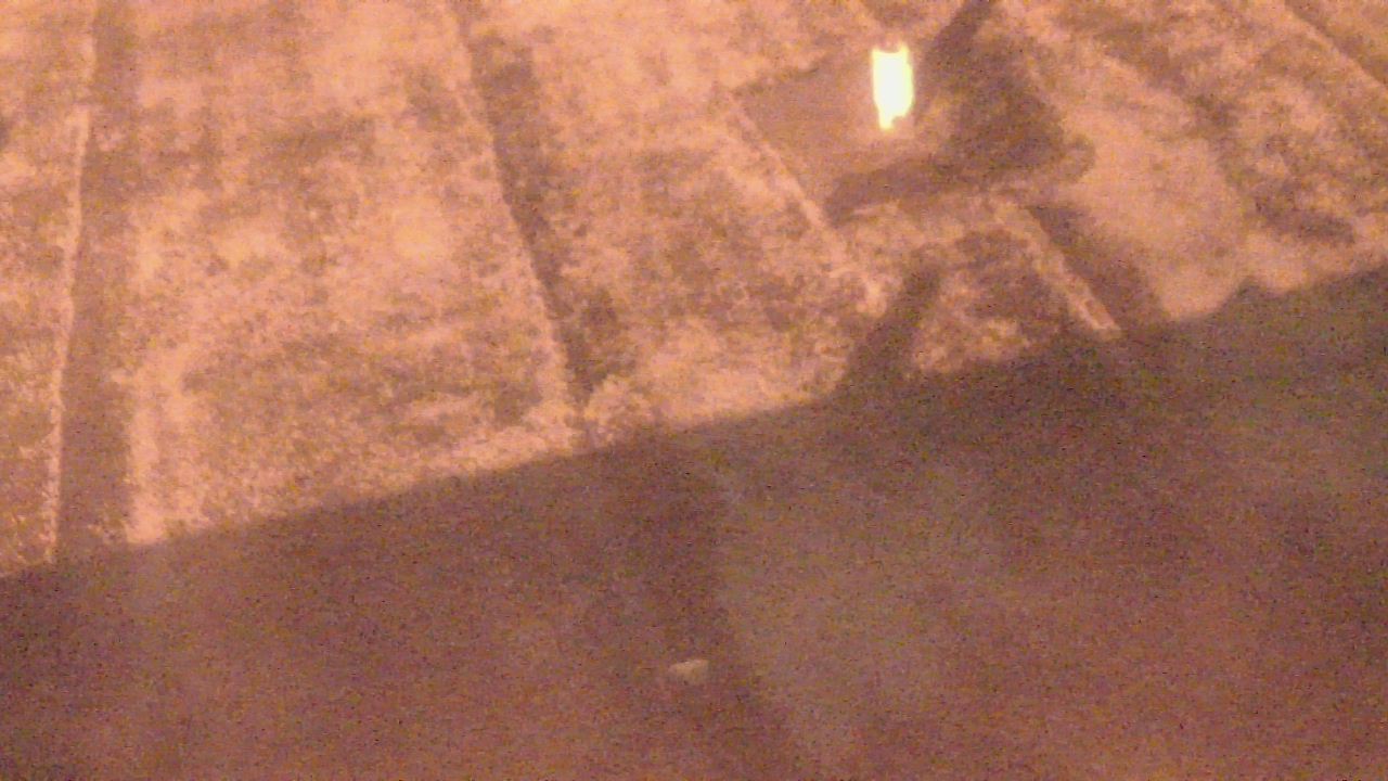 Thumbnail for current weather camera view from Fox Trail ES in Davie, Florida