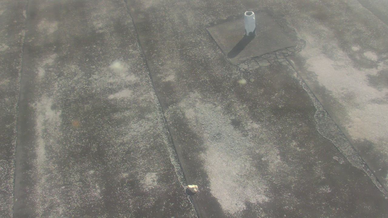 Thumbnail for current weather camera view from Fox Trail ES in Davie, Florida