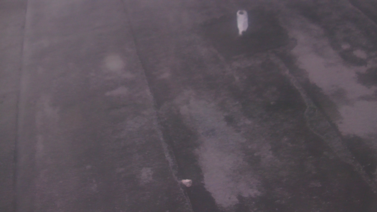 Thumbnail for current weather camera view from Fox Trail ES in Davie, Florida