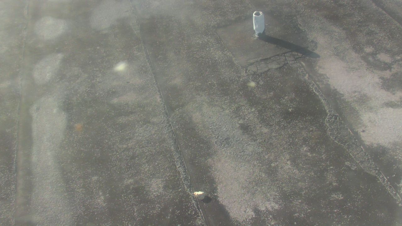 Thumbnail for current weather camera view from Fox Trail ES in Davie, Florida