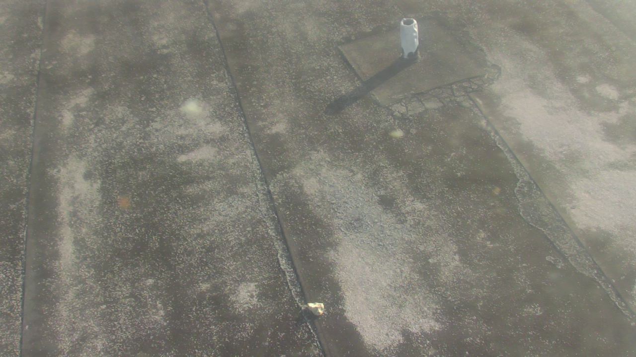 Thumbnail for current weather camera view from Fox Trail ES in Davie, Florida