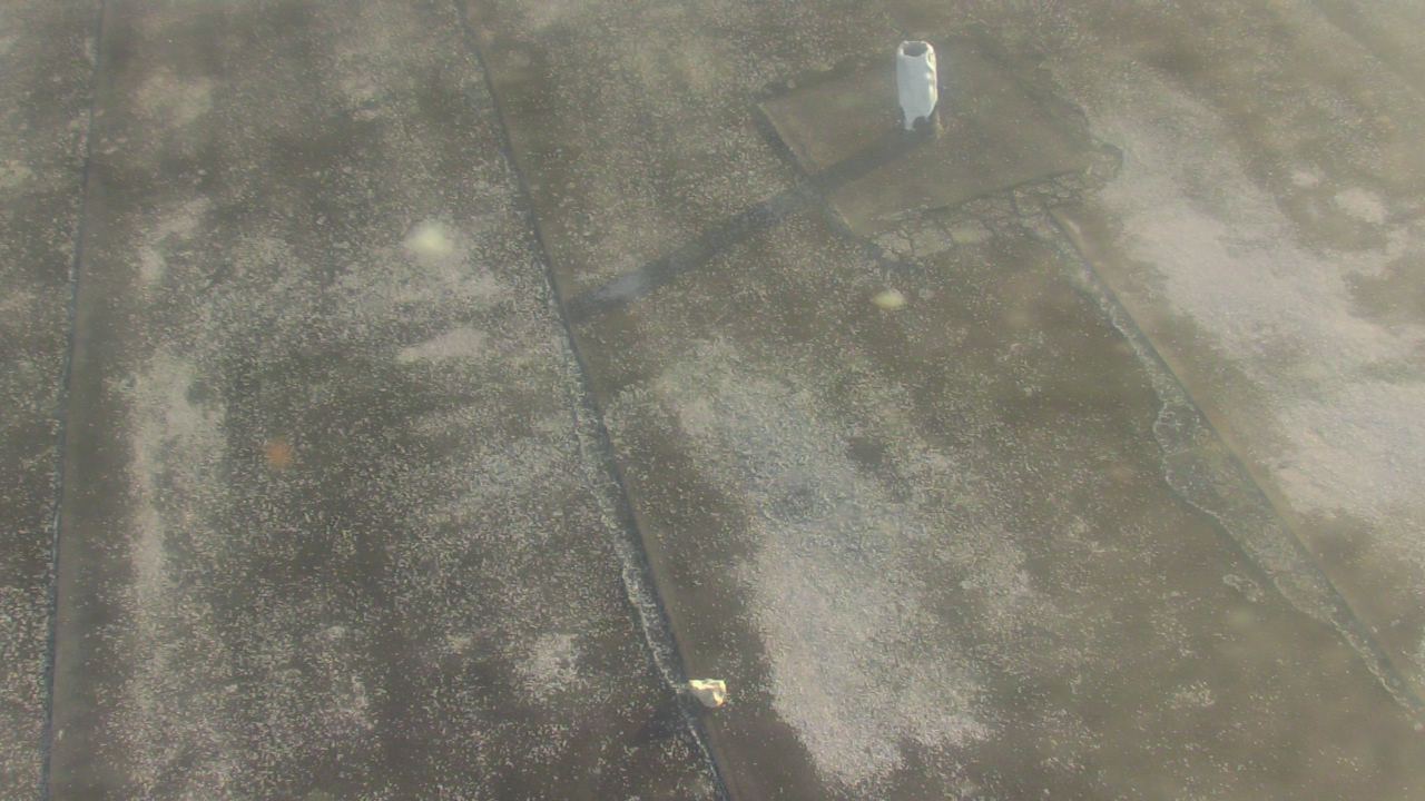 Thumbnail for current weather camera view from Fox Trail ES in Davie, Florida