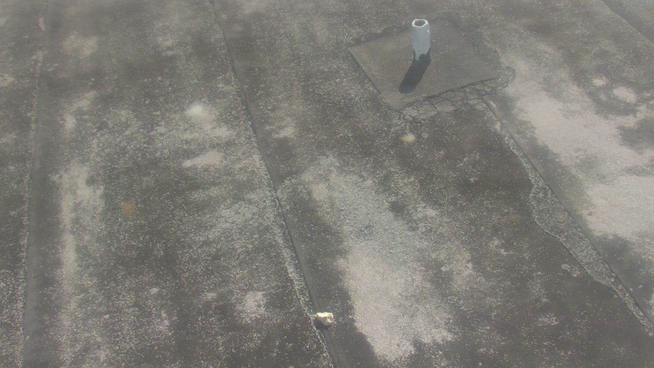 Thumbnail for current weather camera view from Fox Trail ES in Davie, Florida