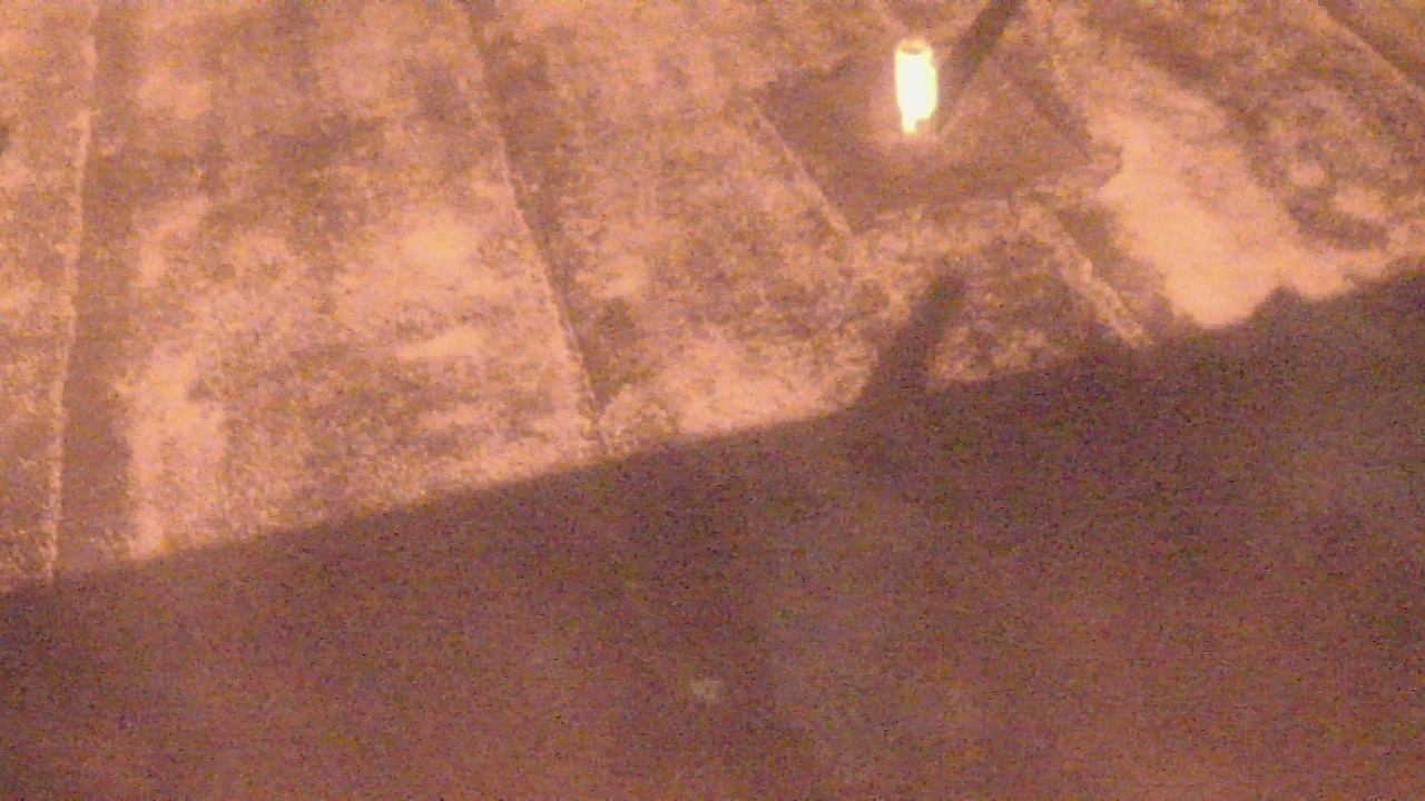 Thumbnail for current weather camera view from Fox Trail ES in Davie, Florida