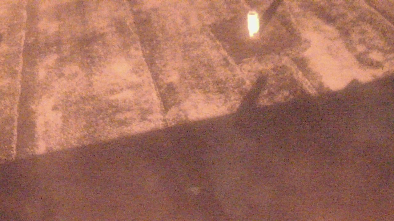 Thumbnail for current weather camera view from Fox Trail ES in Davie, Florida